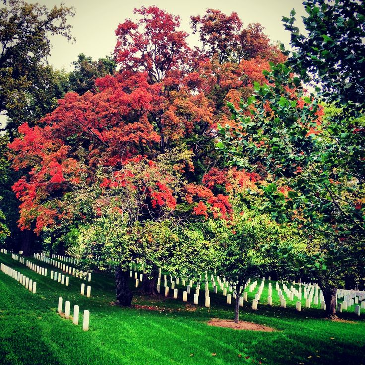 Fall