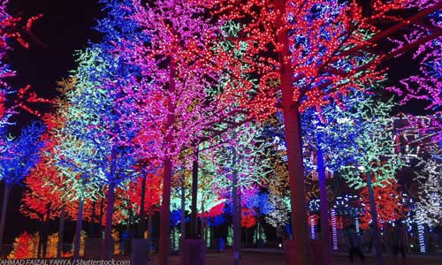 zoolights